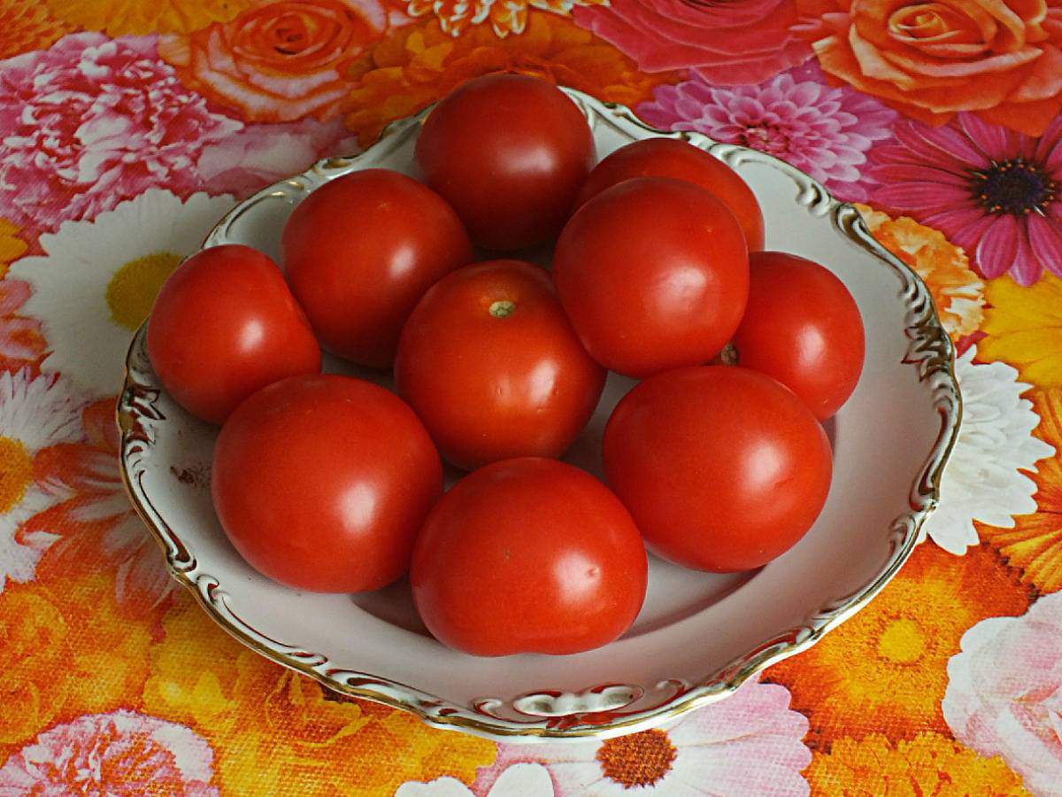 Урожай будет спелым и вкусным Краснота не появилась в срок: одна хитрость вернет томатам привычную окраску