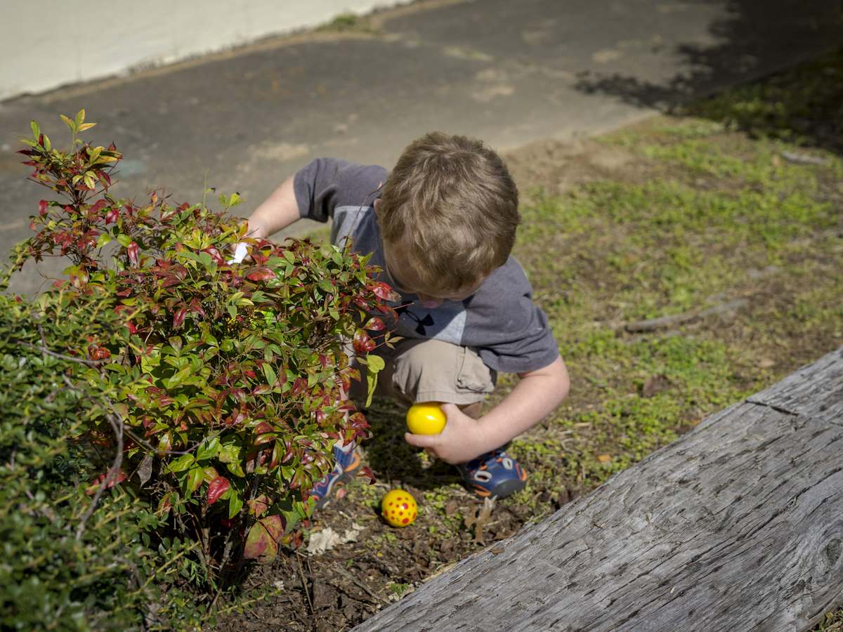Чем занять ребенка на природе — 7 необычных идей Чем занять ребенка на природе — 7 необычных идей
