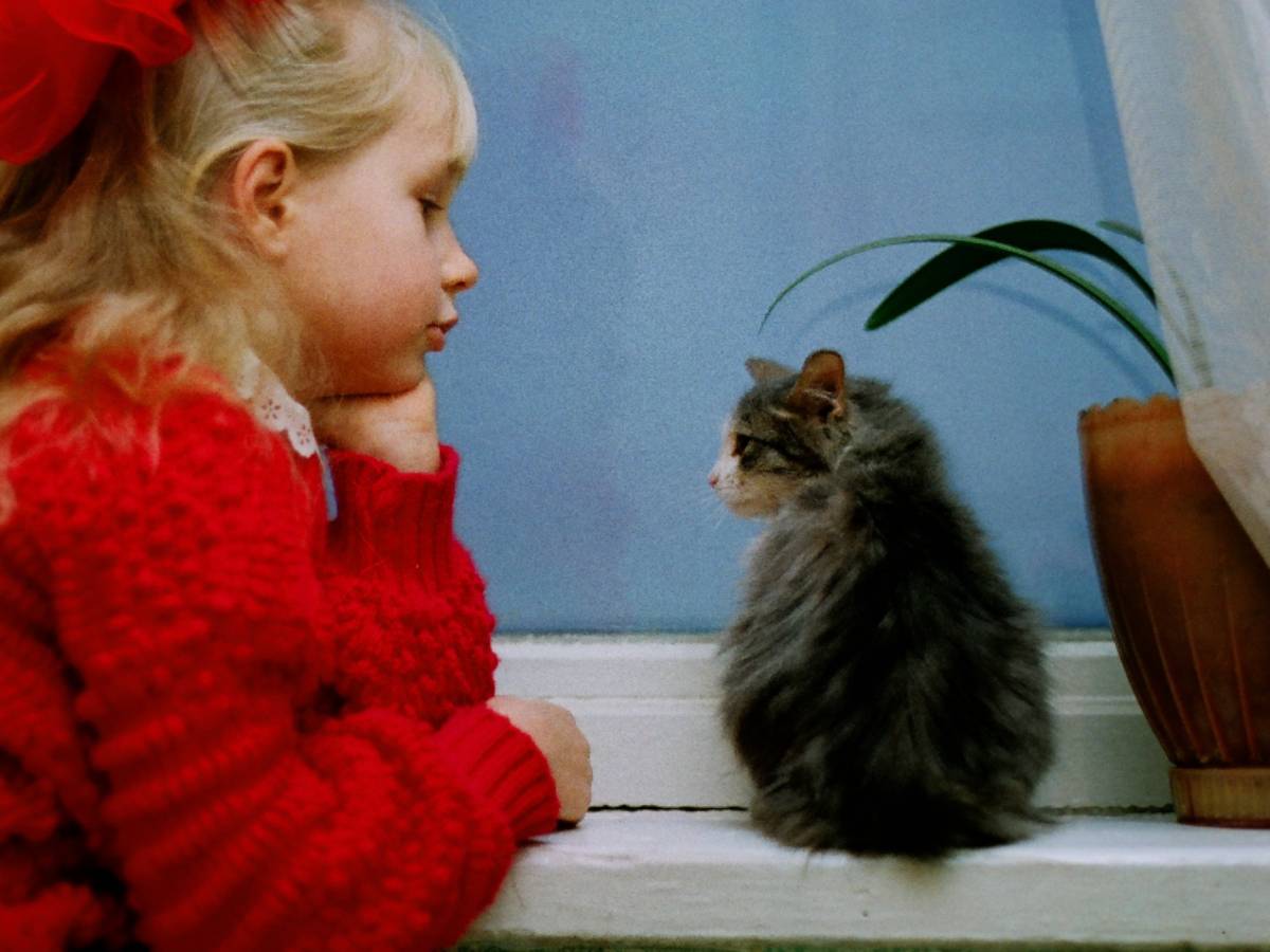 Лучше не нагружать подоконник вещами Придется вызывать пожарных: 3 предмета, которым не место на подоконнике