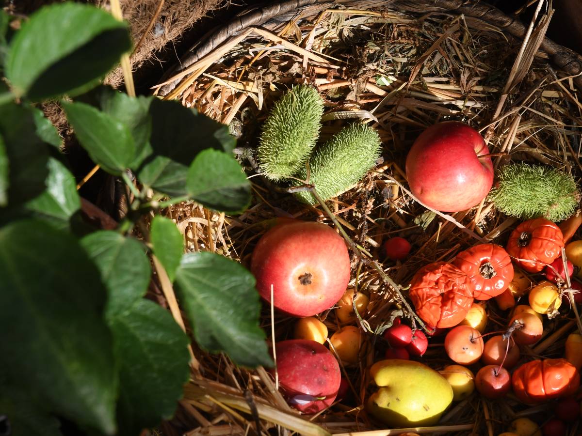 Народные приметы на 1 сентября Приметы на 1 сентября — что можно и нельзя делать в Стратилат Тепляк