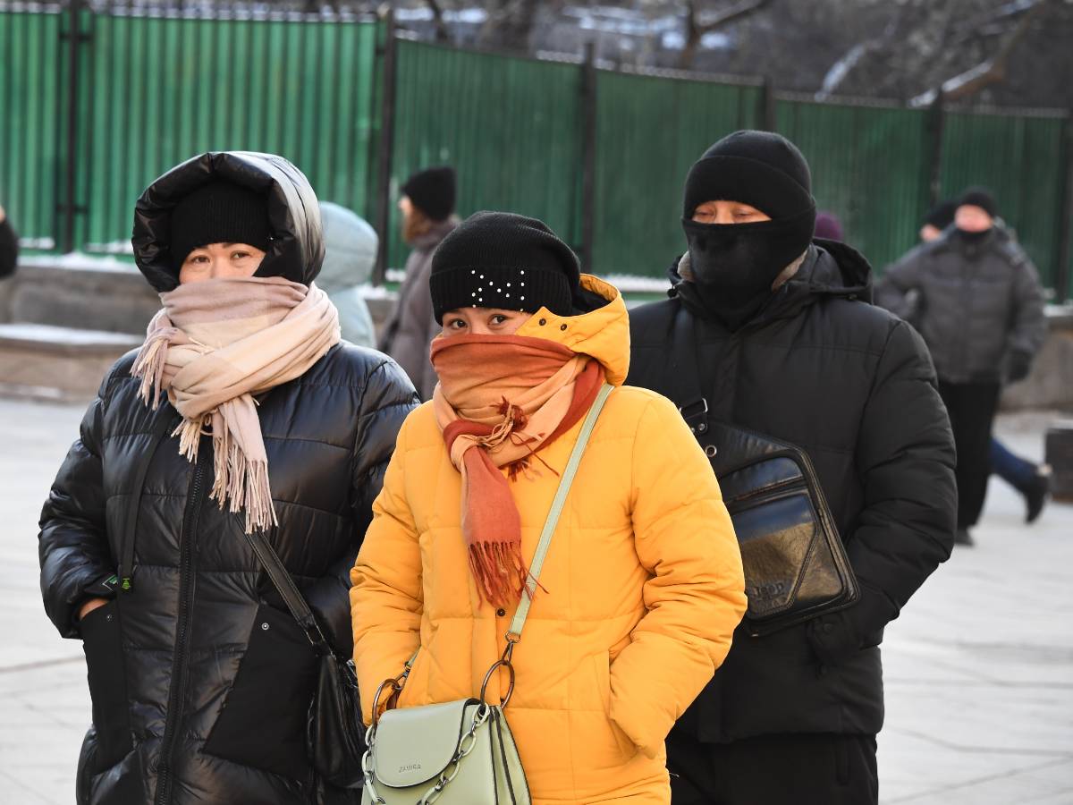 Красиво и функционально Как выбрать шарф для морозной погоды: рекомендации от эксперта